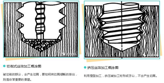 無削絲攻攻牙的特性與過程 